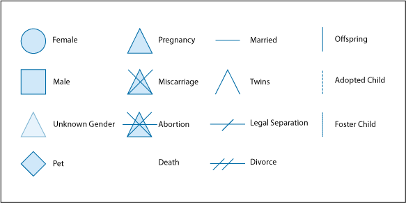 family tree genogram